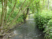 Balade en famille autour de Guéreins - Montceaux - L'eau et les moulins dans le 01 - Ain