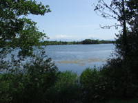 Balade en famille autour de Divonne les Bains, Le Lac dans le 01 - Ain