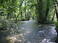 Balade en famille autour de Divonne les Bains, Le Lac dans le 01 - Ain