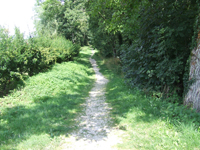 Balade en famille autour de Divonne les Bains, Le Lac dans le 01 - Ain