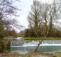 Balade en famille autour de Balade ludique à Oraison et baignade au lac des Buissonnades dans le 04 - Alpes de Haute-Provence