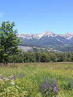 Balade en famille autour de Pays de Seyne dans le 04 - Alpes de Haute-Provence