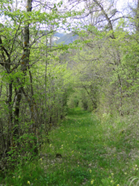 Balade en famille autour de Turriers dans le 04 - Alpes de Haute-Provence