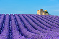 Balade en famille autour de Découverte ludique de Valensole dans le 04 - Alpes de Haute-Provence