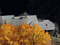 Balade en famille autour de Balade ludique familial à Freissinières dans le 05 - Hautes-Alpes