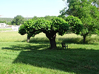 Balade en famille autour de Balade ludique et familiale à la découverte de Berrias dans le 07 - Ardèche