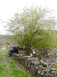 Balade en famille autour de Balade ludique à Darbres dans le 07 - Ardèche