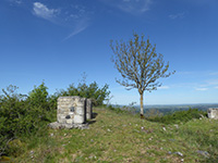 Balade en famille autour de Découverte en famille de Buzeins dans le 12 - Aveyron