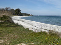 Balade en famille autour de Comme une chasse au trésor dans le parc de Figuerolles à Martigues. dans le 13 - Bouches du Rhône