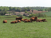 Balade en famille autour de Saint-Coutant dans le 16 - Charente