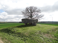 Balade en famille autour de Circuit néolithique dans le 16 - Charente