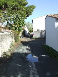 Balade en famille autour de D'Ars-en-Ré au Phare des Baleines à vélo dans le 17 - Charente-Maritime