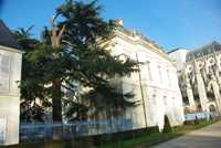 Balade en famille autour de Les jardins de l'archevêché dans le 18 - Cher