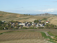 Balade en famille autour de Bué-Venoize dans le 18 - Cher