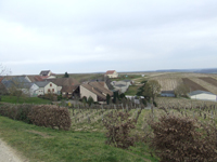 Balade en famille autour de Crézancy-en-Sancerre dans le 18 - Cher