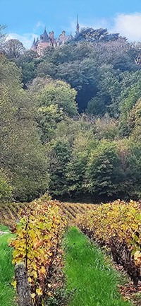 Balade en famille autour de Comme un jeu de piste à Sancerre dans le 18 - Cher