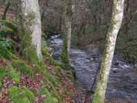 Balade en famille autour de Saint Mathurin-Léobazel dans le 19 - Corrèze