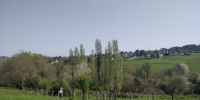 Balade en famille autour de Balade ludique à Cosnac en famille. dans le 19 - Corrèze