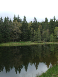 Balade en famille autour de Meymac - Le Mont Bessou dans le 19 - Corrèze