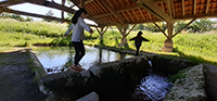 Idée de balade, promenade ou randonnée en famille avec des enfants : FI Saint-Aulaye