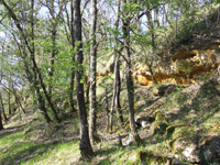 Balade en famille autour de Saint-Crépin-et-Carlucet dans le 24 - Dordogne