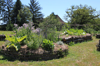 Balade en famille autour de Saint-Pierre-de-Frugie dans le 24 - Dordogne