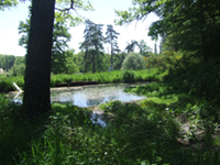 Balade en famille autour de Salagnac-Clairvivre dans le 24 - Dordogne