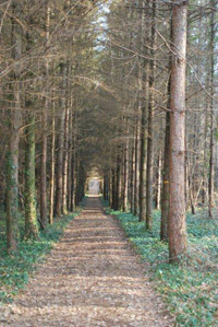 Balade en famille autour de Le Sentier des Fontaines dans le 24 - Dordogne