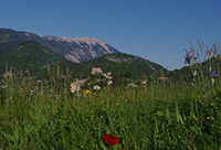 Idée de balade, promenade ou randonnée en famille avec des enfants : Montbrun-les-Bains