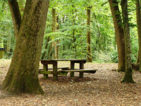 Balade en famille autour de Balade ludique dans le bois des Gâts en famille. dans le 28 - Eure-et-Loir