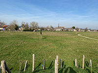 Idée de balade, promenade ou randonnée en famille avec des enfants près de Balade ludique le long du sentier de découverte de Moriers