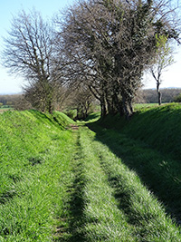 Balade en famille autour de Promenade familiale ludique à Paulhac dans le 31 - Haute-Garonne