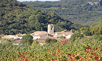 Balade en famille autour de Balade à énigmes dans Cabrières  dans le 34 - Hérault