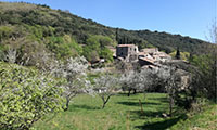 Balade en famille autour de Balade à énigmes dans Cabrières  dans le 34 - Hérault