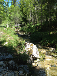 Balade en famille autour de Bellefontaine dans le 39 - Jura