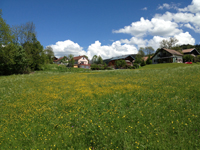 Balade en famille autour de Bellefontaine dans le 39 - Jura