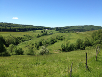 Balade en famille autour de Longchaumois dans le 39 - Jura