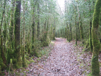 Balade en famille autour de Maisod dans le 39 - Jura