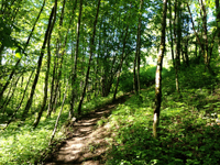 Balade en famille autour de Morez dans le 39 - Jura