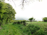 Balade en famille autour de Randonnée ludique en famille dans le village du Gault-du-Perche dans le 41 - Loir-et-Cher