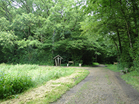 Balade en famille autour de Vendôme, bois de l'Oratoire dans le 41 - Loir-et-Cher