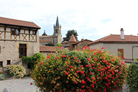 Balade en famille autour de Le Crozet dans le 42 - Loire