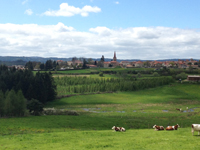 Idée de balade, promenade ou randonnée en famille avec des enfants : Usson-en-Forez