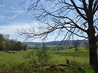 Balade en famille autour de Abiessence - Verrières en Forez  dans le 42 - Loire