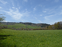 Balade en famille autour de Abiessence - Verrières en Forez  dans le 42 - Loire