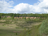 Balade en famille autour de Balade ludique à Freyming-Merlebach en famille dans le 57 - Moselle