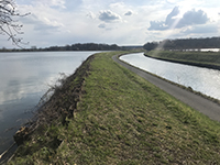 Balade en famille autour de Promenade ludique et familiale autour de l’étang de Gondrexange dans le 57 - Moselle