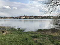 Balade en famille autour de Promenade ludique et familiale autour de l’étang de Gondrexange dans le 57 - Moselle