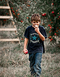Idée de balade, promenade ou randonnée en famille avec des enfants près de Jeu de piste sur le thème de la pomme à Beurières