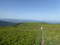 Balade en famille autour de Le col du Béal : Sur les traces de la biodiversité dans le 63 - Puy-de-Dôme